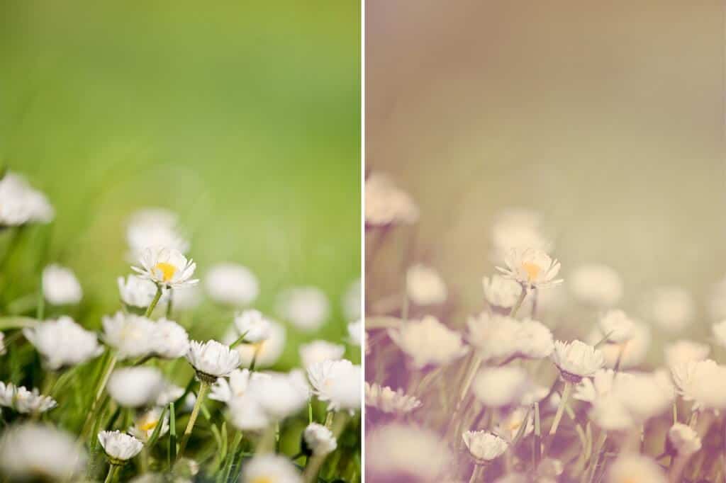 Makrofotografie im Frühling: einfache Tipps von Profi-Fotografin Kerstin Schwister