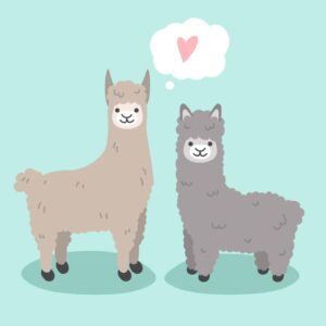 Trendtier Lama