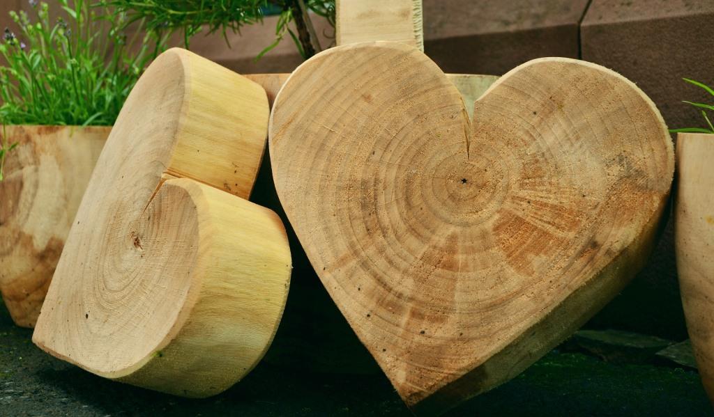 Natürliche Holzdeko: Baumscheiben