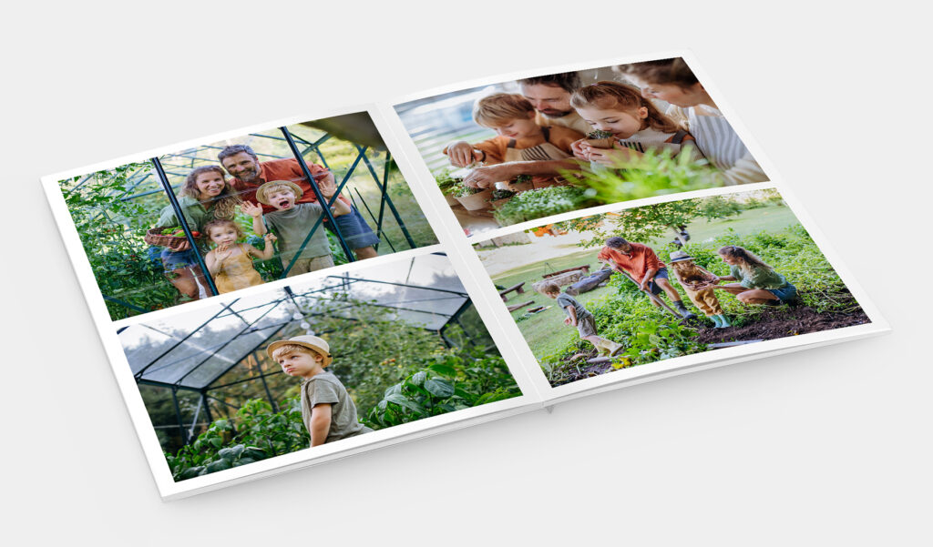Layout fürs Fotobuch für Anfänger: Einfachheit statt Schnickschnack 